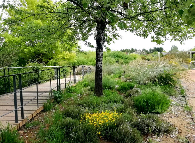 Jardín Botánico de Castilla-La Mancha, Spain